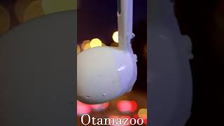 Blinding Lights 🌟  Otamatone amp Kazoo Cover  The Weeknd [upl. by Corwin]