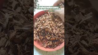 Why Cocohusk should used in Aroid Potting Mix  Aroid Potting Mix shorts youtubeshorts ytshorts [upl. by Norah493]