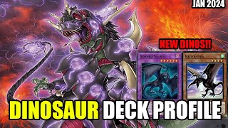 Dinosaur YuGiOh Deck Profile  COMBO TUTORIAL New support Post Maze of Millenia JANUARY 2024 [upl. by Alrzc787]