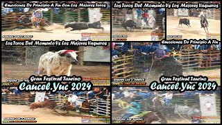 💥CAUCELYUCATAN💥 GRANDIOSA CORRIDA DE PREMIOS DOMINGO 26 DE MAYO DEL 2024 [upl. by Healey]