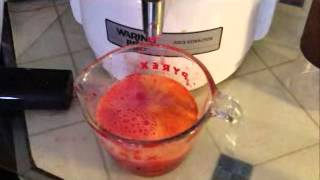 Juicing with my Waring Pro Juice Extractor 0 [upl. by Richella568]