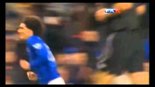 ►Mourane Fellaini◆ Goals and Skills◆ Everton 20112012 [upl. by Head]