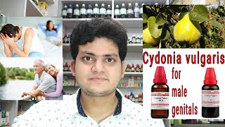 Cydonia vulgaris  Homeopathic medicine Cydonia vulgaris  Sign and symptoms Disease and doses [upl. by Nyleuqcaj271]