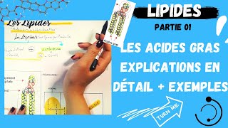 📣1 Les Lipides Partie1 Les Acides Gras explication en détail  des exemplesاقوى مراجعة لللبيدات [upl. by Sarine]