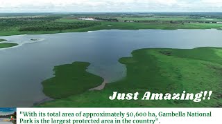 Gambella National Park An Incredibly Green amp Beautiful Ethiopian Park [upl. by Illene]