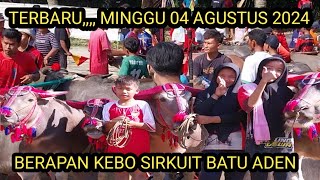 TERBARU MINGGU 04 AGUSTUS 2024 BERAPAN KEBO SIRKUIT BATU ADEN LARI BINTANG KELAS BELAJAR [upl. by Hogarth]