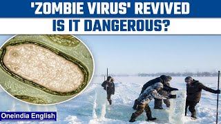 Scientists revive 48500yearold ‘zombie virus’ buried in ice  Oneindia News Science [upl. by Elleivad80]