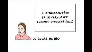 L’aminocentèse et le caryotype examen cytogénétique [upl. by Ahsenwahs]