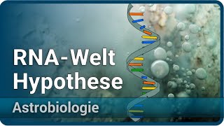 RNAWelt Hypothese • Entstehung des Lebens • ProtoRibosome • Astrobiologie 4  Aleksandar Janjic [upl. by Tann329]