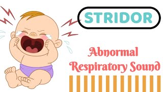 STRIDOR  Audible Respiratory sound [upl. by Wolfy]