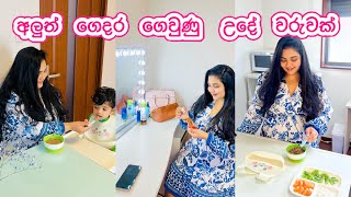 දැන් දවස් ගෙවෙනවා වෙනස් 🥹 අලුත් ගෙදර උදේ වරුව  LIFE IN JAPAN 🇯🇵 [upl. by Laved174]