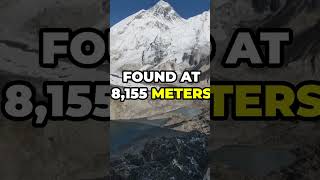 The Haunting and Mysterious Fate of Mallory and Irvine  Mount Everest Unsolved Mystery [upl. by Ahsital]