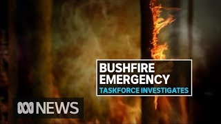 Sunshine Coast fire storm still burning out of control as police investigate cause  ABC News [upl. by Ramel]