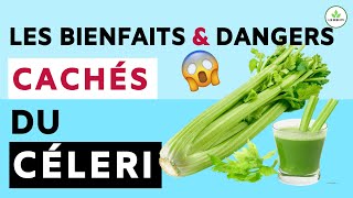 Céleri Ses bienfaits et dangers pour la santé jus de céleri [upl. by Nivar]