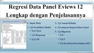 Regresi Data Panel Eviews 12 Lengkap dengan Penjelasannya [upl. by Sirois]