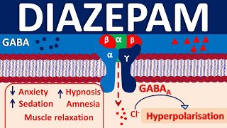 Diazepam  Mechanism side effects precautions amp uses [upl. by Laraine769]