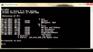 Use of Attrib Command in Ms Dos [upl. by Finlay]