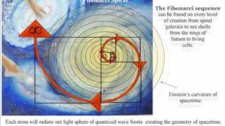 A reason for the Fibonacci Spiral in Nature An Artist Theory [upl. by Aneehsit962]