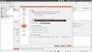 qBittorrent options [upl. by Norbel]