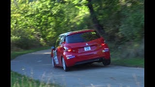 Rallye Critérium des Cévennes 2019 Best of ES1 La Cadière  RallyeFix [upl. by Brawner527]