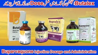 Buparvaquone injection  Butalex injection  Dose of Buparvaquone  Theileriosis in cattle [upl. by Hsac]