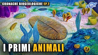 I Primi Animali  Proterozoico  Cronache Biogeologiche Ep 2 [upl. by Ecined]