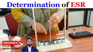 Determination of Erythrocyte Sedimentation Rate ESR  ESR measurement  Physiology practical [upl. by Shlomo]