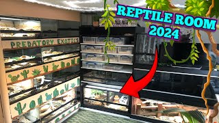 NEW UK REPTILE ROOM TOUR 2024  February [upl. by Tahmosh]