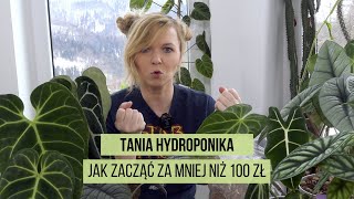 Hydroponika za mniej niż 100 zł czyli jak zacząć i co kupić [upl. by Sartin]