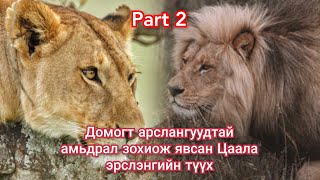 Сүүлгүй Цаала эрслэнгийн тэмцэл Парт2 Гоё түүхүүд Goe tuuhuud mongol heleer kino duu Arslangiin tuuh [upl. by Shannah]