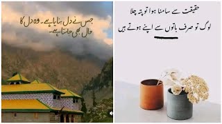 Aqwal E Zareen  Urdu Islamic Quotes  Urdu Poetry  Maheer Khan [upl. by Anihsit]