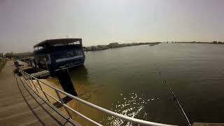 Pier Fluke Fishing in Captree NY [upl. by Godber]