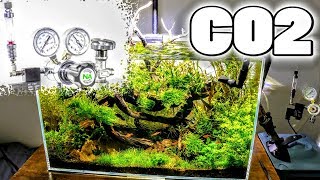 Optimizing Your CO2  Surface Scum amp Light CO2 Relationship  Aquascaping [upl. by Waters]