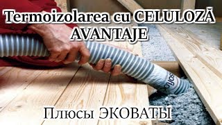 Termoizolatia cu celuloza  Avantaje  Плюсы утепления эковаты [upl. by Ferullo]