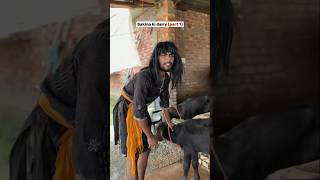 Sakina ki deri 🐄🐃 part 1 funny funnyvideo injoyment [upl. by Mackie104]