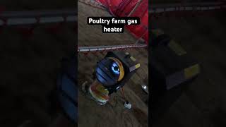 Poultry farmers poultryfarm [upl. by Arolf]