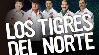 La Ultima CopaLos Tigres del Norte [upl. by Sotnas]