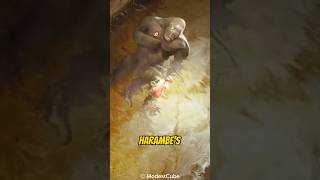 The Story of Gorilla Harambe Part 2 [upl. by Renell588]