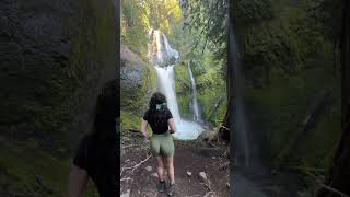 Beautiful waterfall in Oregon youtubeshorts nature beautifuldestinations viralvideo [upl. by Jaella]