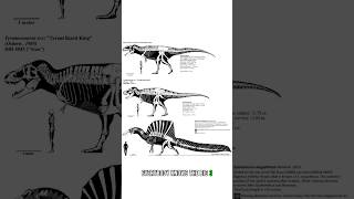 What Are The Largest Carnivorous Theropods [upl. by Mindy]