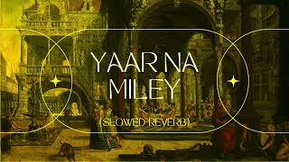 YAAR NA MILEY  slowedreverb  USE 🎧  LOFI SONG [upl. by Oringa]