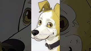 Why Do Dogs Tilt Their Heads [upl. by Adnohsad620]