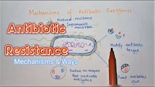 An Overview Of The Antimicrobial Resistance Mechanisms  Antibiotic Drug Resistance  Medico Star [upl. by Dadivitan]