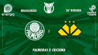 PALMEIRAS X CRICIUMA  15092024  BRASILEIRÃO  AO VIVO [upl. by Isewk]