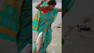 Big rohu fish catching in river village fishing tipsamptechniques fish catching videos shortvideo [upl. by Emmet277]