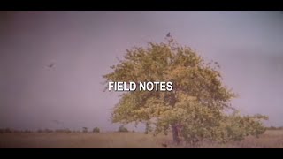 Owl City  Field Notes Official Lyric Video FieldNotes OwlCity [upl. by Hammad834]