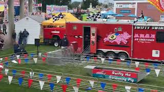 Pig races Watch the pigs race at the 2023 Big E fair [upl. by Revned]