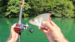 4 Hours of RAW and UNCUT Kayak Catfishing on the Tennessee River  Dragging vs Suspending Cut Bait [upl. by Yerrok]