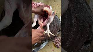 skills cutting chickenskill potong daging ayam cuttingskills chicken ayamsegar shorts short [upl. by Nirag]