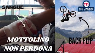 Il weekend PIU pazzo di sempre al mottolino bike park  FINITO MALE [upl. by Joletta]